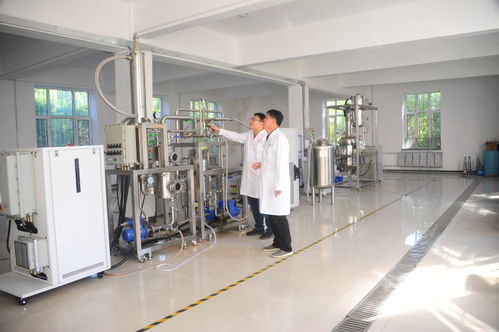 齊齊哈爾大學(xué)牽頭組建的 國家市場監(jiān)管技術(shù)創(chuàng)新中心 工業(yè)大麻 成功獲批建設(shè)