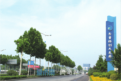 答卷2021 濟(jì)南軟件與信息技術(shù)服務(wù)業(yè)——拼搏不息，“走在前”的強(qiáng)勁引擎